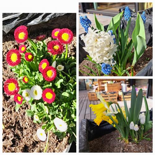 Blumen