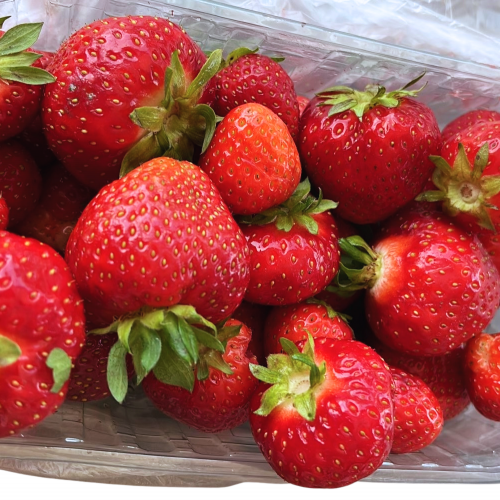 rote Erdbeeren
