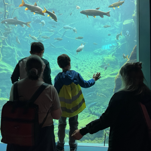 Kinder vor Aquarium