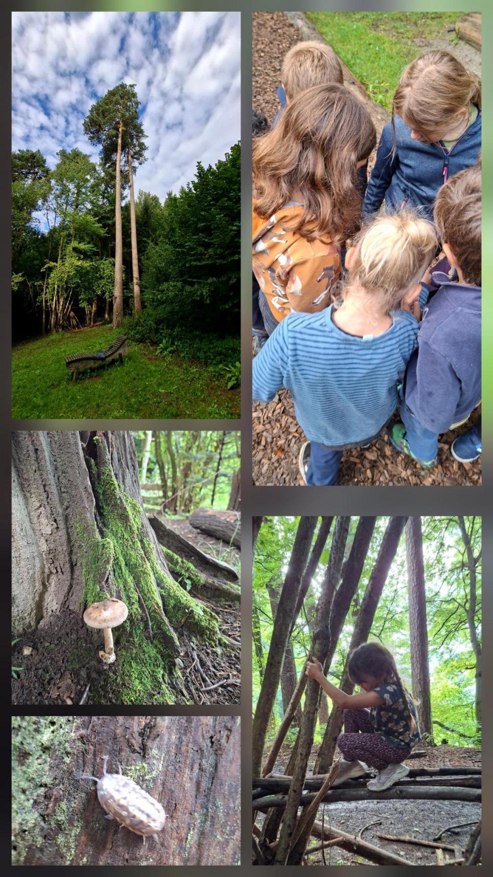 © Freepic.com Wald