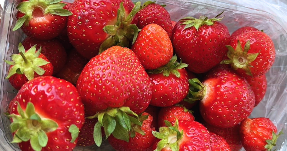 rote Erdbeeren